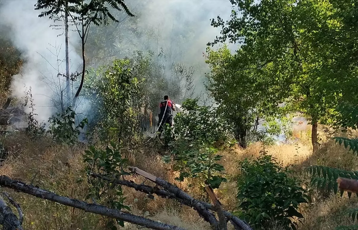 amasyada-ot-yangini-denetim-altina-alindi-GkGNcLSu.jpg