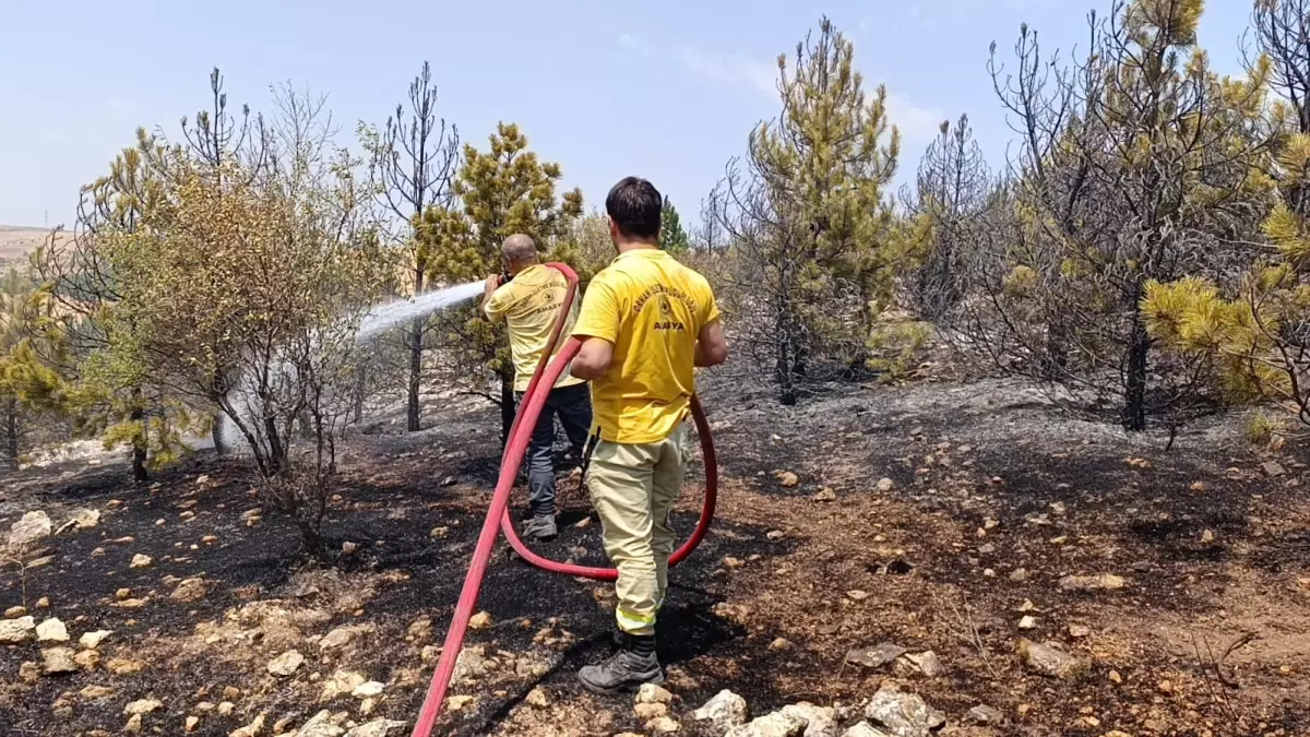 amasyada-orman-yangini-3-hektar-alan-ziyan-gordu-3BZIwHfn.jpg