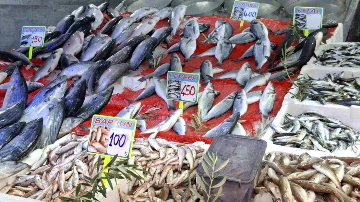 samsunda-balik-tezgahlari-senlendi-hamsi-bol-olacak-y8OLMrI5.jpg